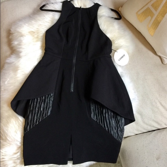CAMEO Dress - Picture 9 of 11